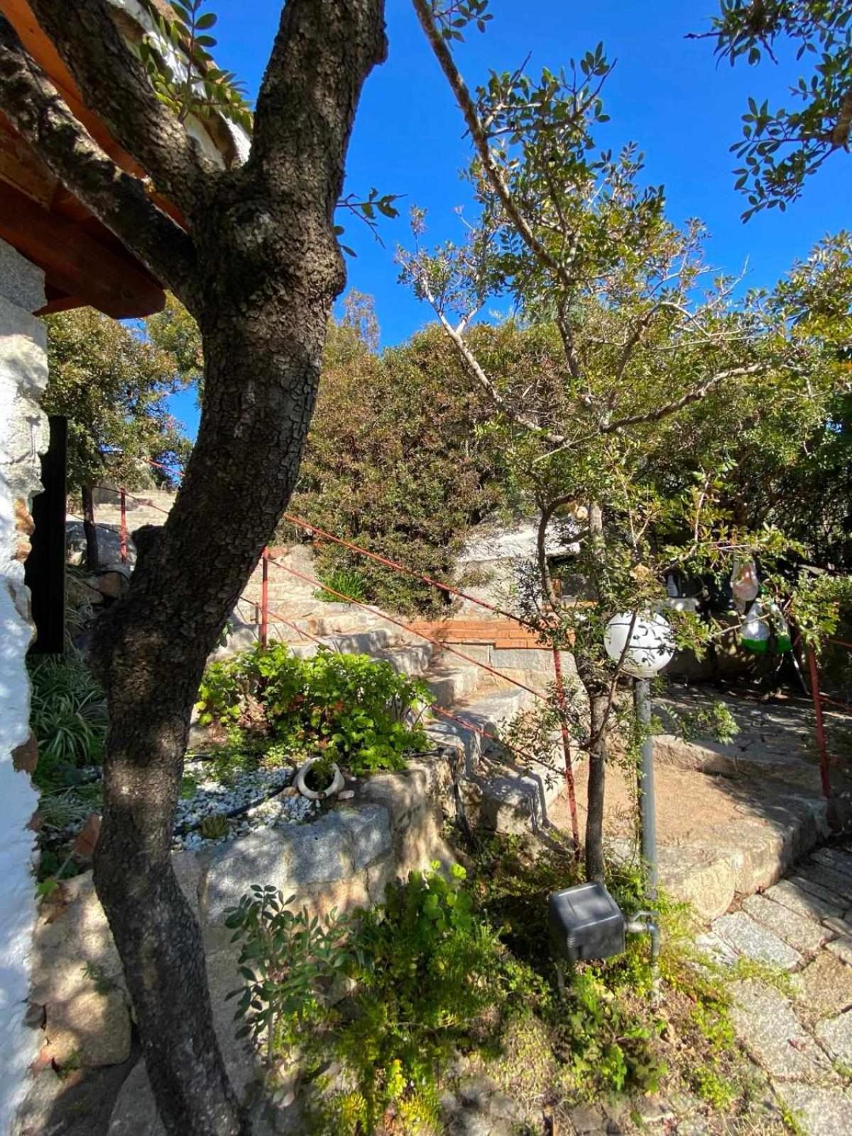 Sa Domu De Orri Al Mare Villa Tortolì Buitenkant foto