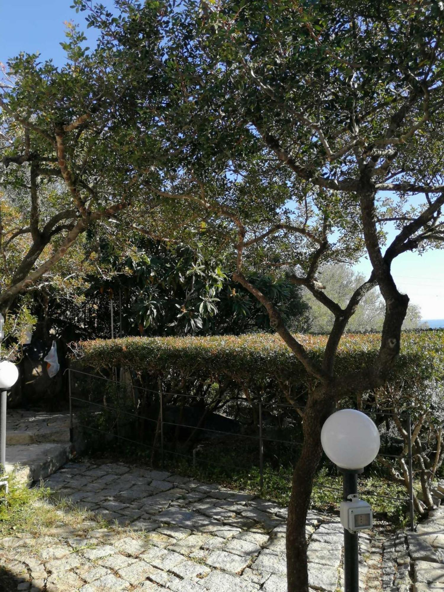 Sa Domu De Orri Al Mare Villa Tortolì Buitenkant foto