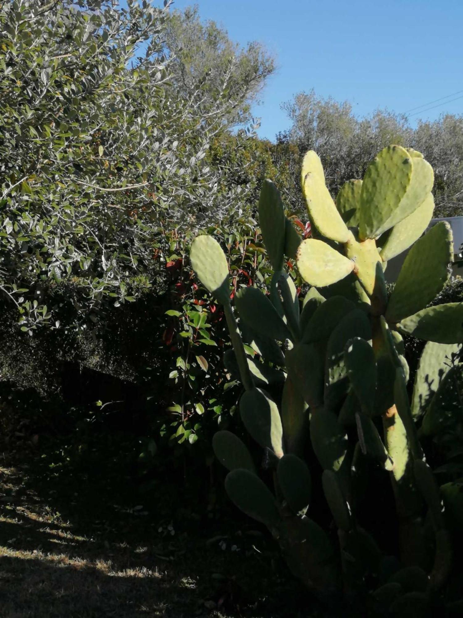 Sa Domu De Orri Al Mare Villa Tortolì Buitenkant foto