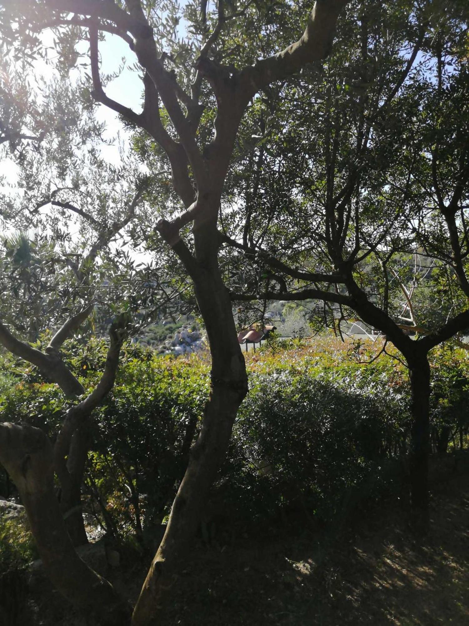Sa Domu De Orri Al Mare Villa Tortolì Buitenkant foto